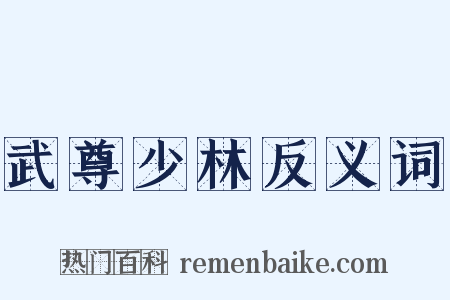 武尊少林反义词是什么意思的图片
